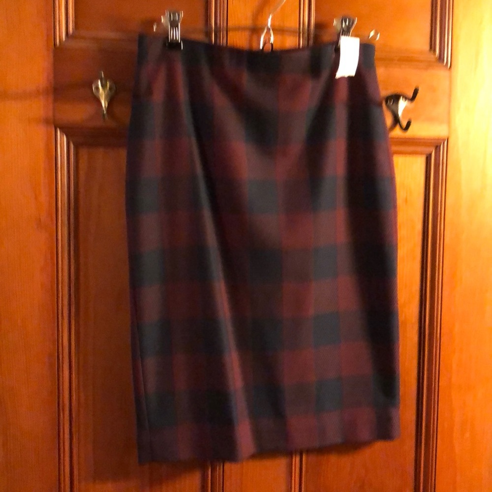 Ann Taylor skirt